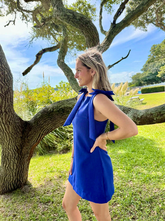 Savannah Bow Strap Mini Dress